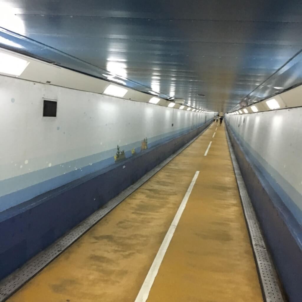 f:id:sippuu0517:20170129112645j:plain f:id:sippuu0517:20170129112645j:plain