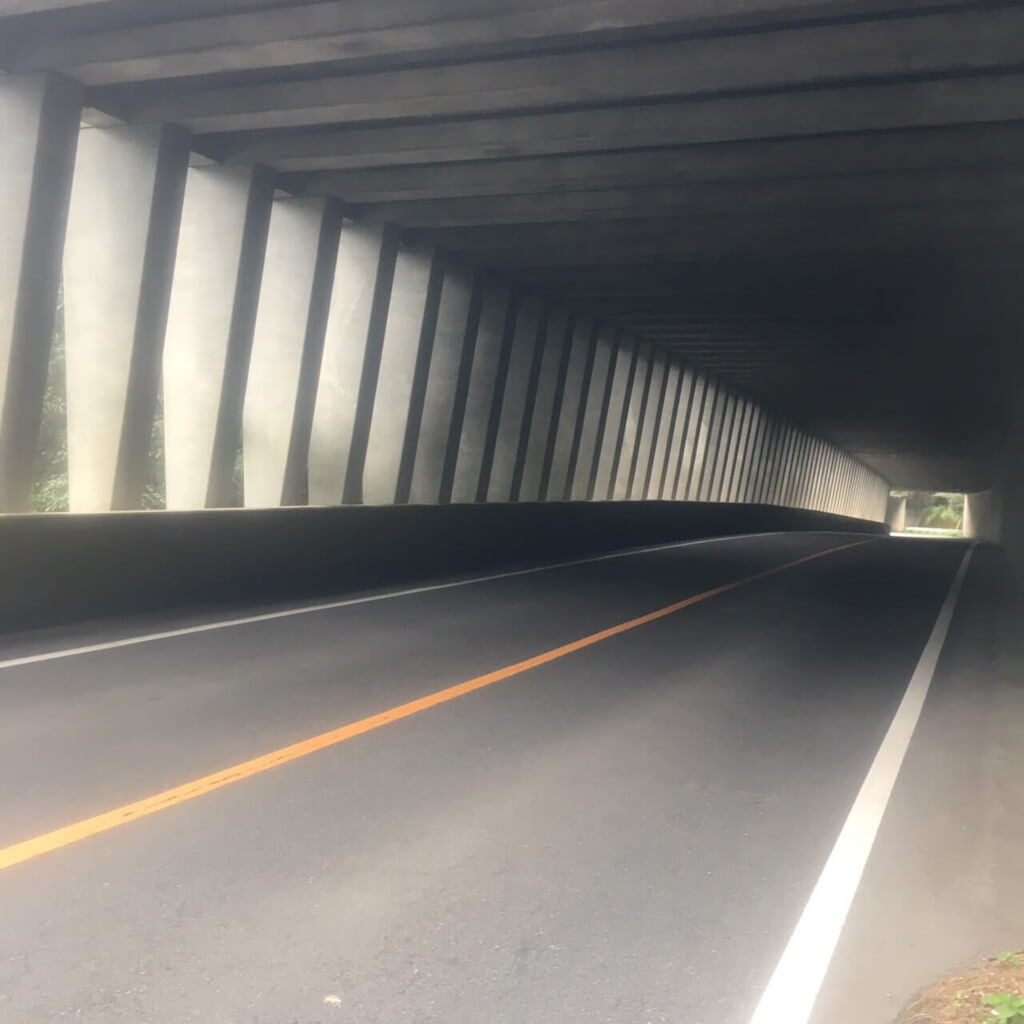 f:id:sippuu0517:20170129115833j:plain