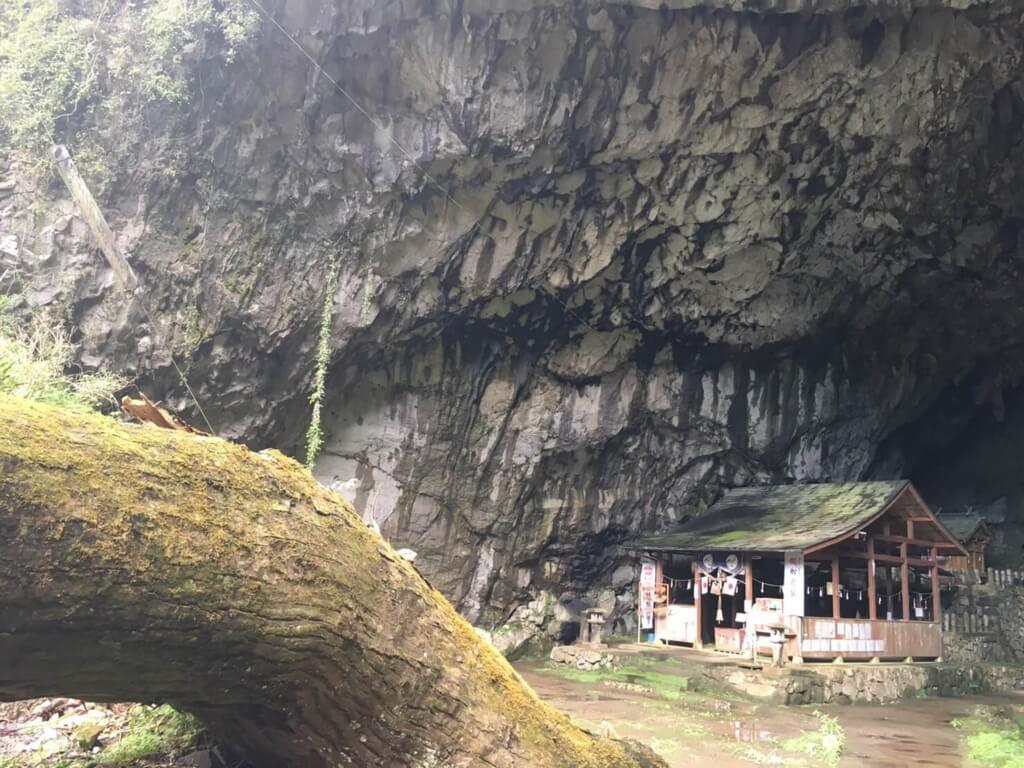 f:id:sippuu0517:20170129115841j:plain