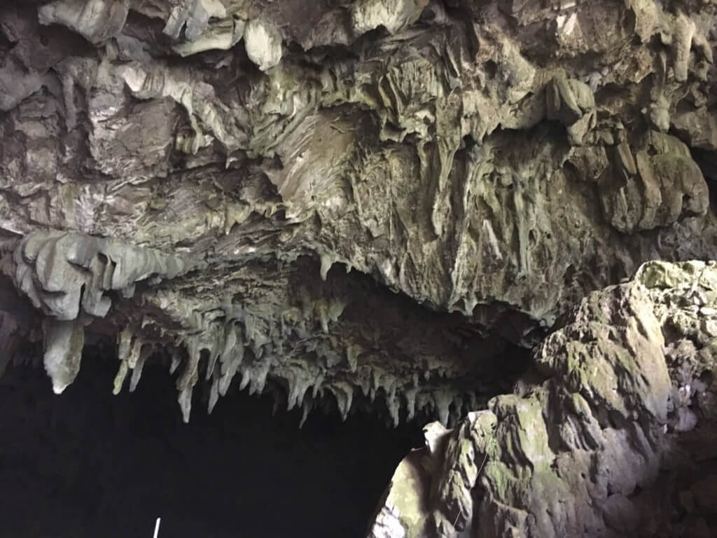 f:id:sippuu0517:20170129115853j:plain