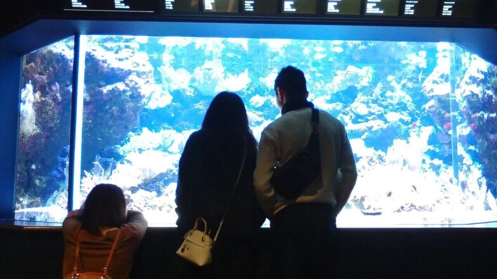 f:id:sippuu0517:20170131193616j:plain