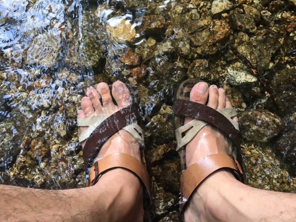 f:id:sippuu0517:20170801154703j:plain