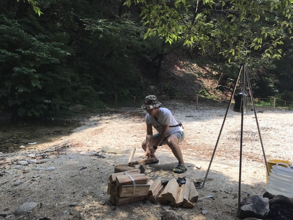 f:id:sippuu0517:20170801212806j:plain