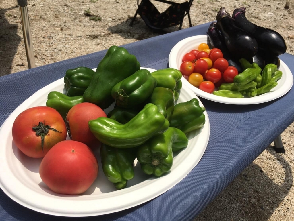 f:id:sippuu0517:20170801215144j:plain