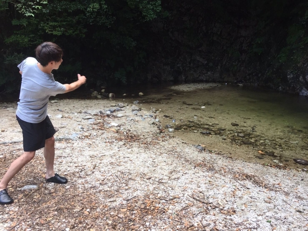 f:id:sippuu0517:20170801222358j:plain