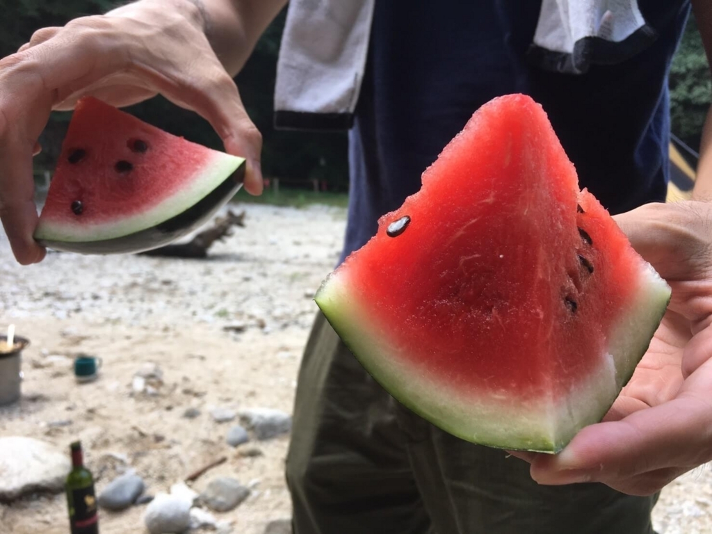 f:id:sippuu0517:20170801222811j:plain