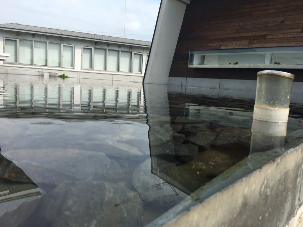 f:id:sippuu0517:20170801225646j:plain