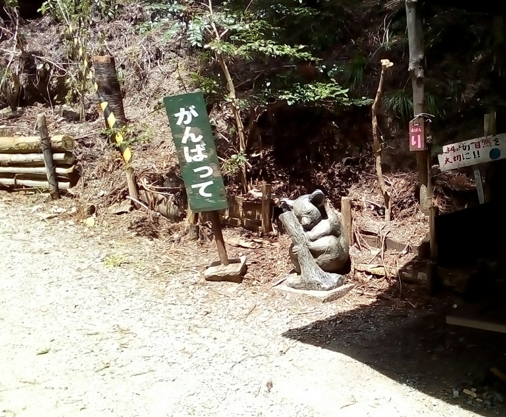 槇尾山グリーンランドに行ってきました 気ままな小旅行で生き物に出会う