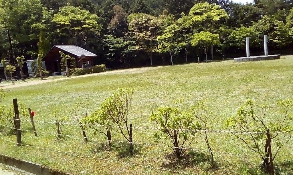 槇尾山グリーンランドに行ってきました 気ままな小旅行で生き物に出会う
