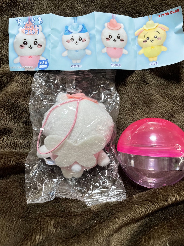 f:id:siraburogu:20230127123111j:image