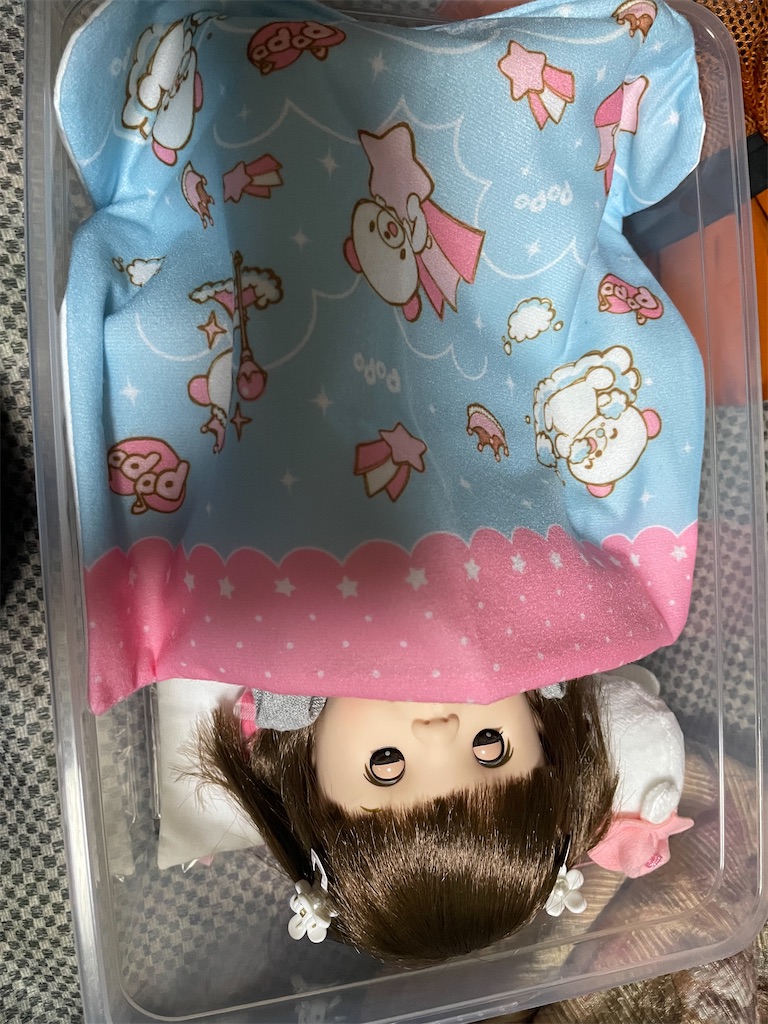 f:id:siraburogu:20230428133413j:image