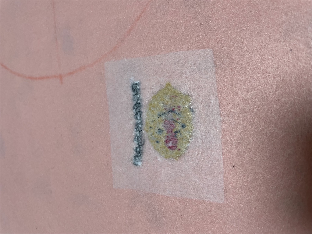 f:id:siraburogu:20230913075047j:image
