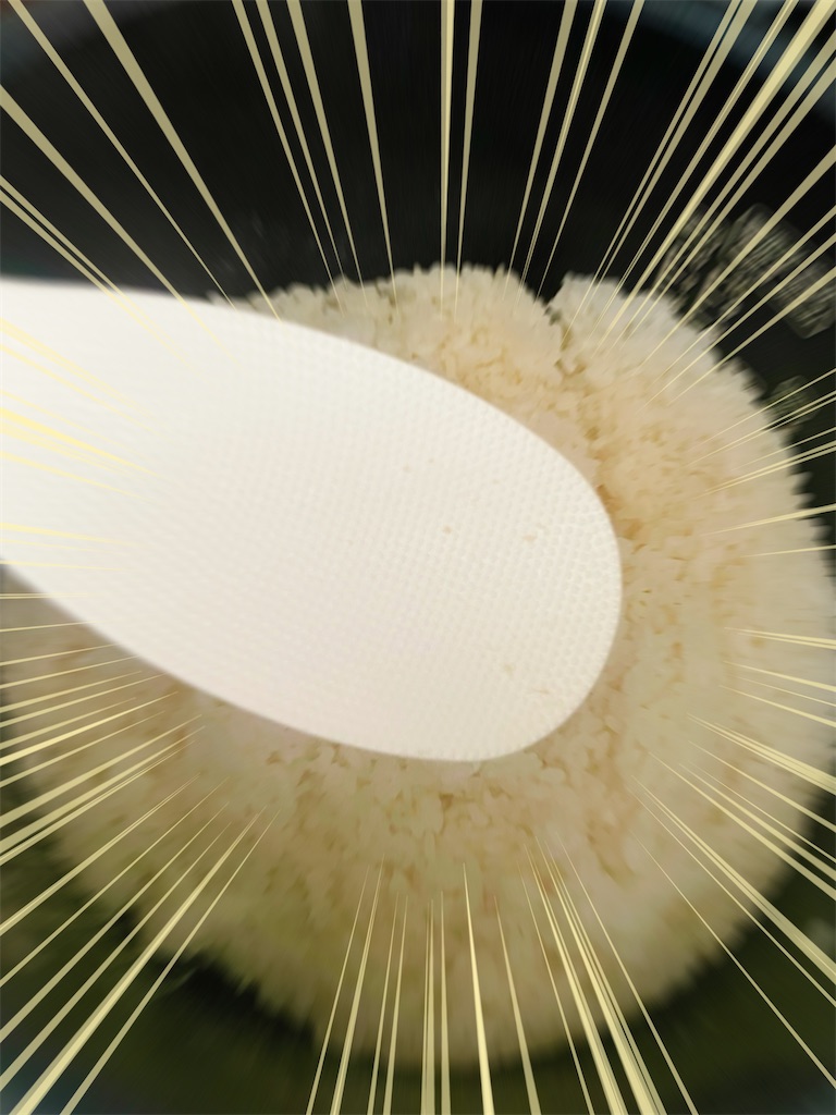 f:id:siraburogu:20240426100048j:image