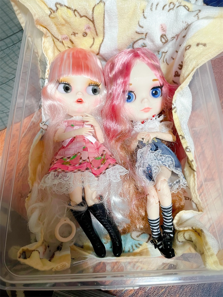 アイシードールをお迎えしました！※当ブログ記事タイトルや画像を無断