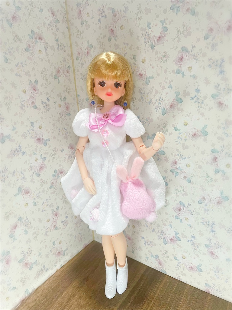 f:id:siraburogu:20250530162003j:image