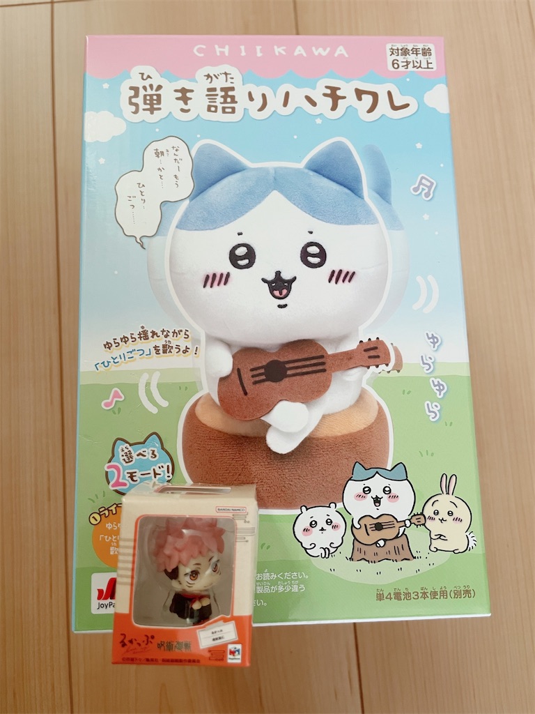 f:id:siraburogu:20260116003100j:image