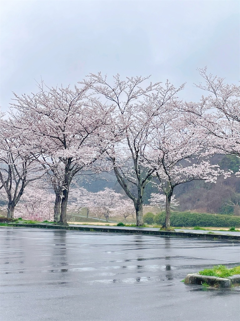 f:id:siraburogu:20260405091940j:image f:id:siraburogu:20260405091940j:image