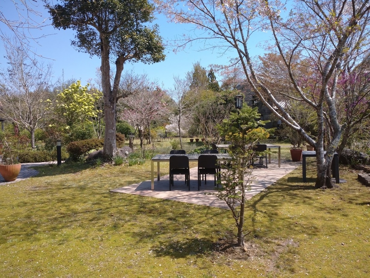 f:id:siracotan:20210815123428j:plain