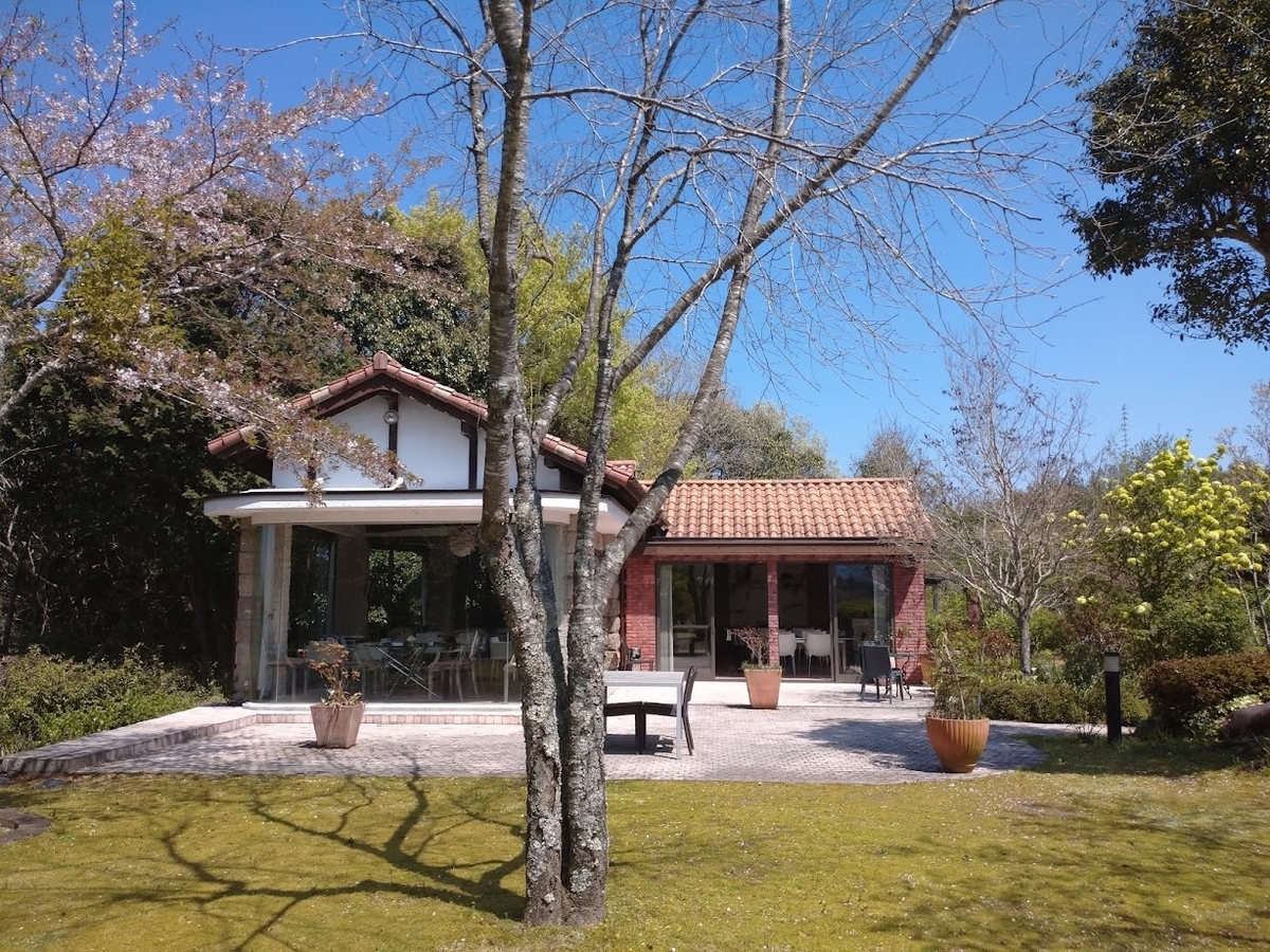 f:id:siracotan:20210815123551j:plain