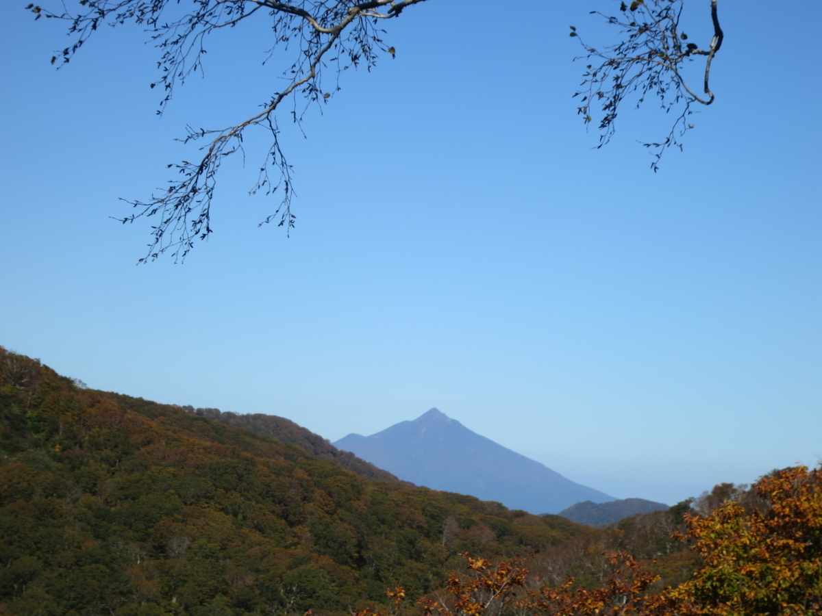 f:id:sirakamix:20211012185659j:plain