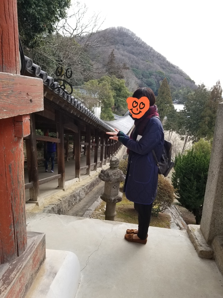 f:id:siran81:20190220171824j:plain