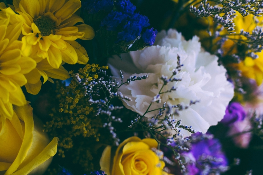 f:id:siran81:20190309154319j:plain