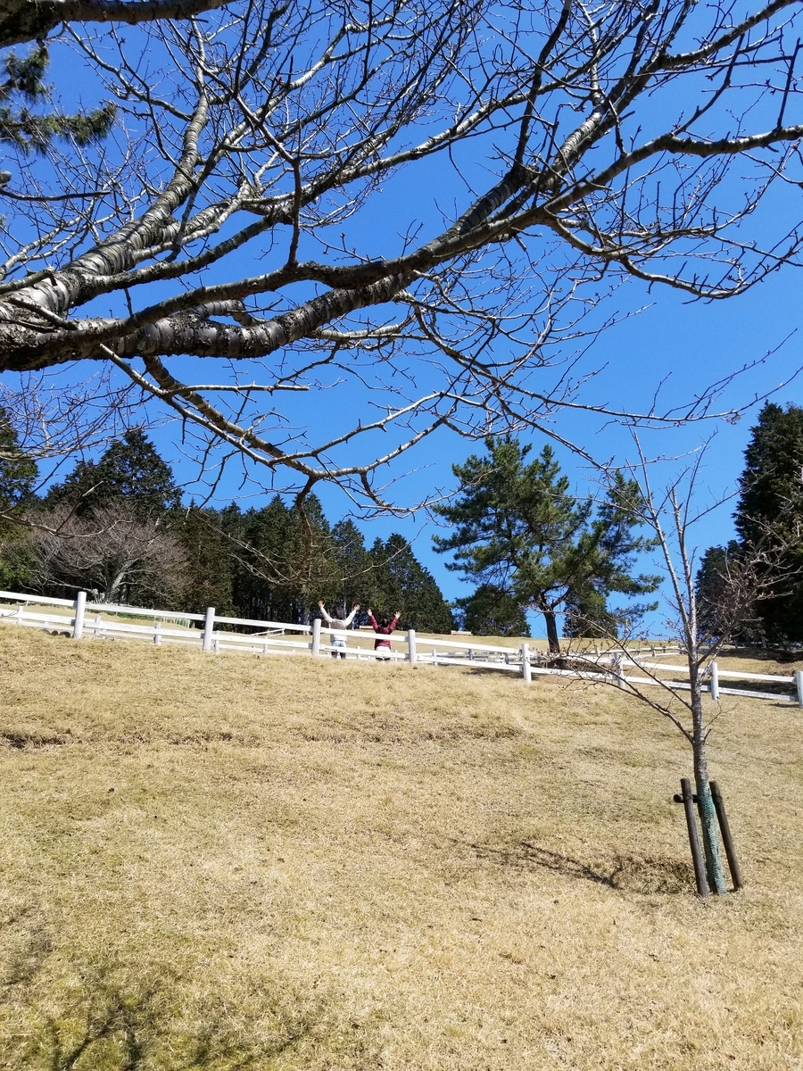 f:id:siran81:20190405100858j:plain