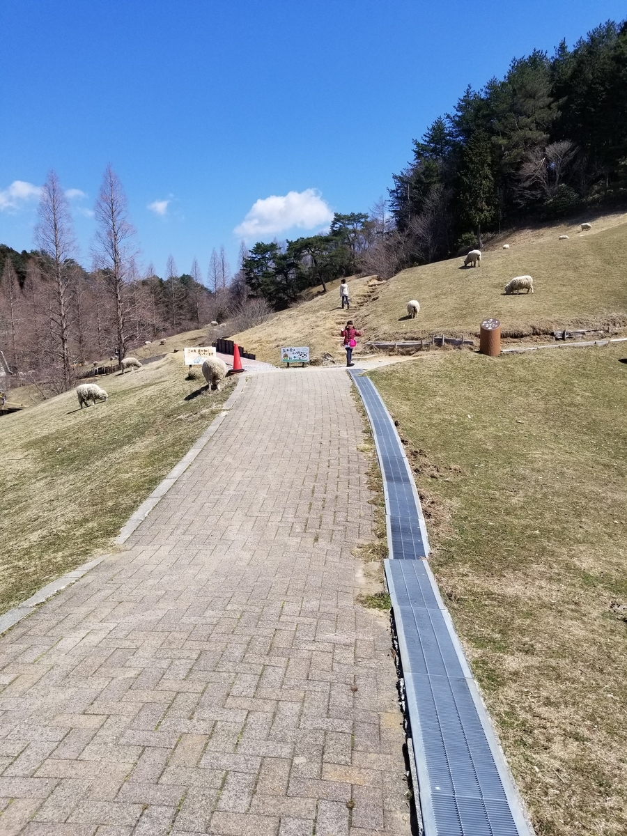 f:id:siran81:20190405104201j:plain