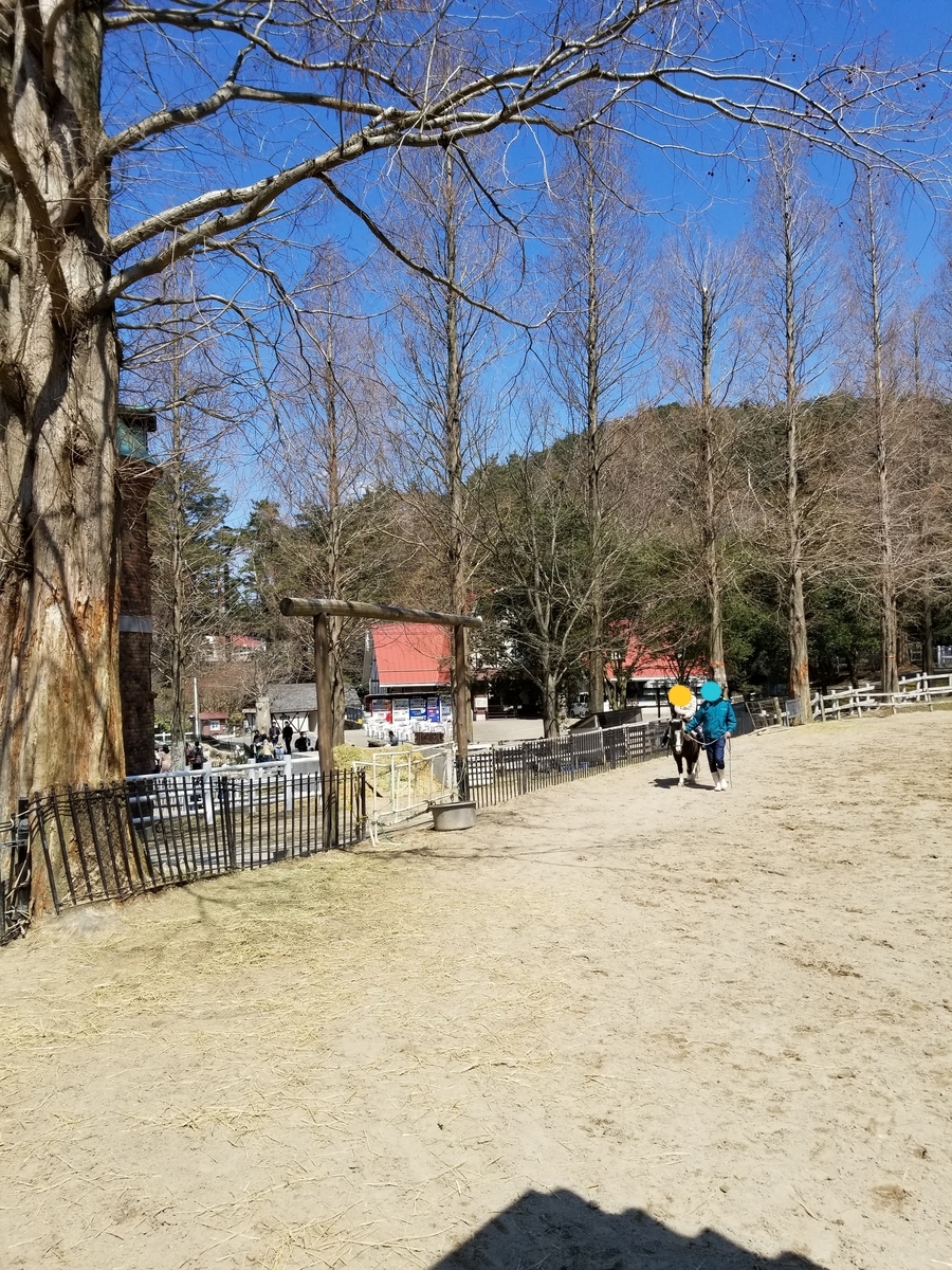 f:id:siran81:20190405105538j:plain