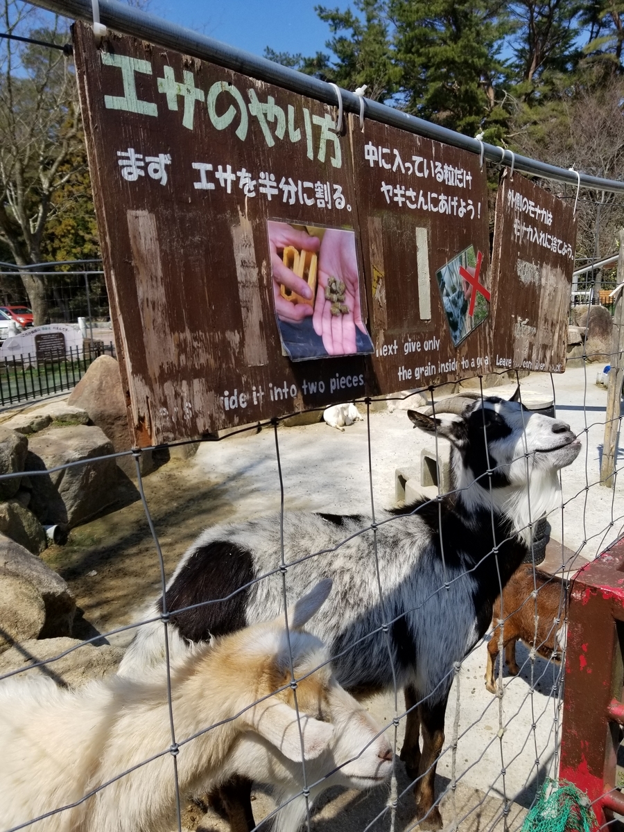 f:id:siran81:20190405111925j:plain