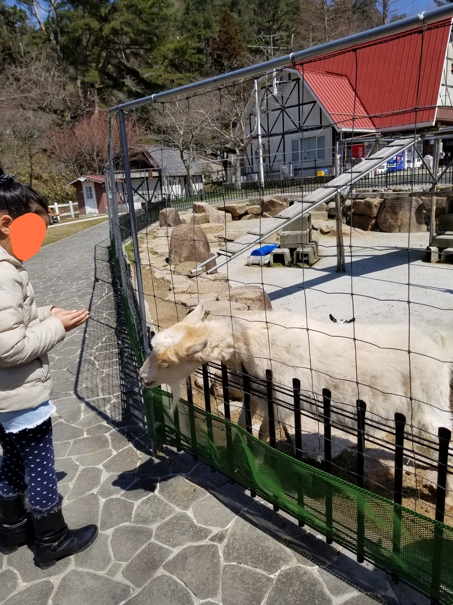 f:id:siran81:20190405112738j:plain