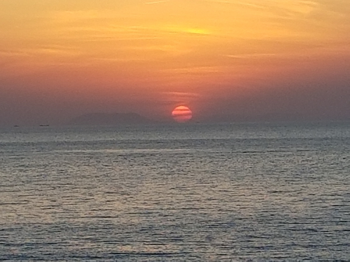 f:id:siran81:20190418190138j:plain