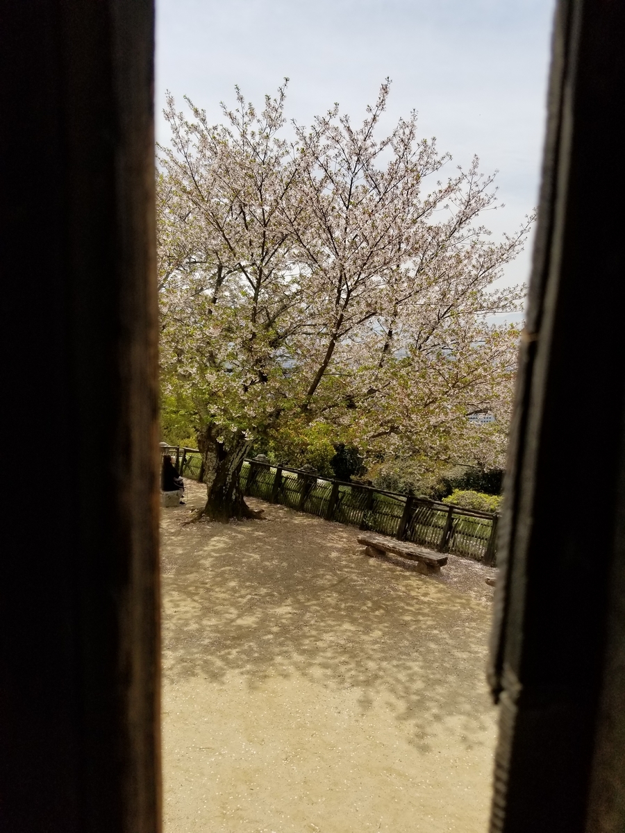 f:id:siran81:20190423152634j:plain