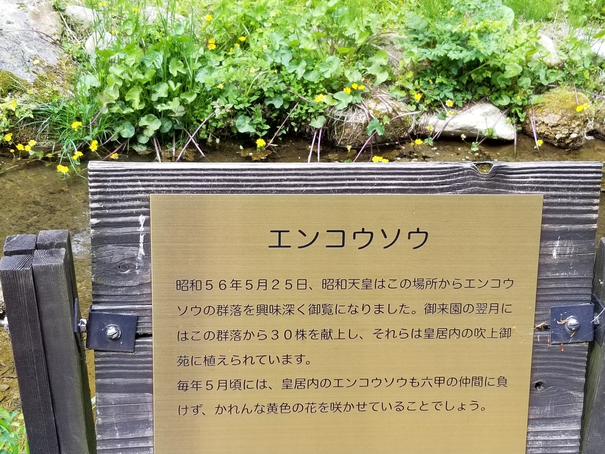 f:id:siran81:20190523112536j:plain