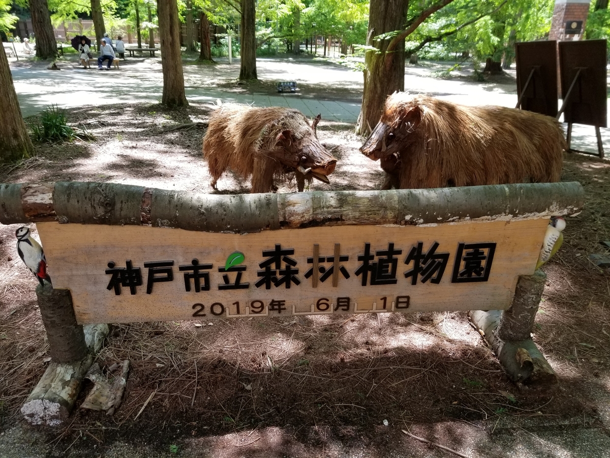 f:id:siran81:20190601173614j:plain