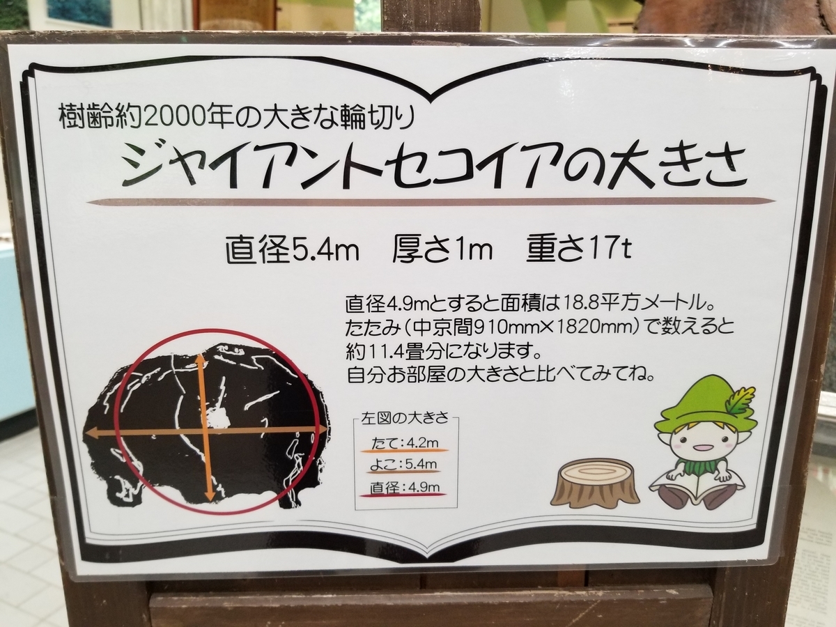 f:id:siran81:20190601174333j:plain