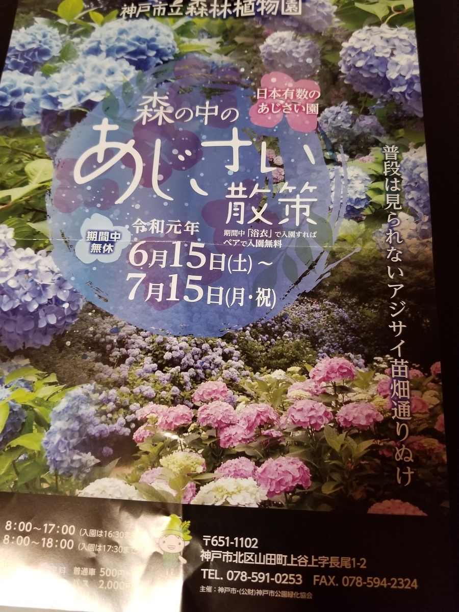 f:id:siran81:20190601182320j:plain