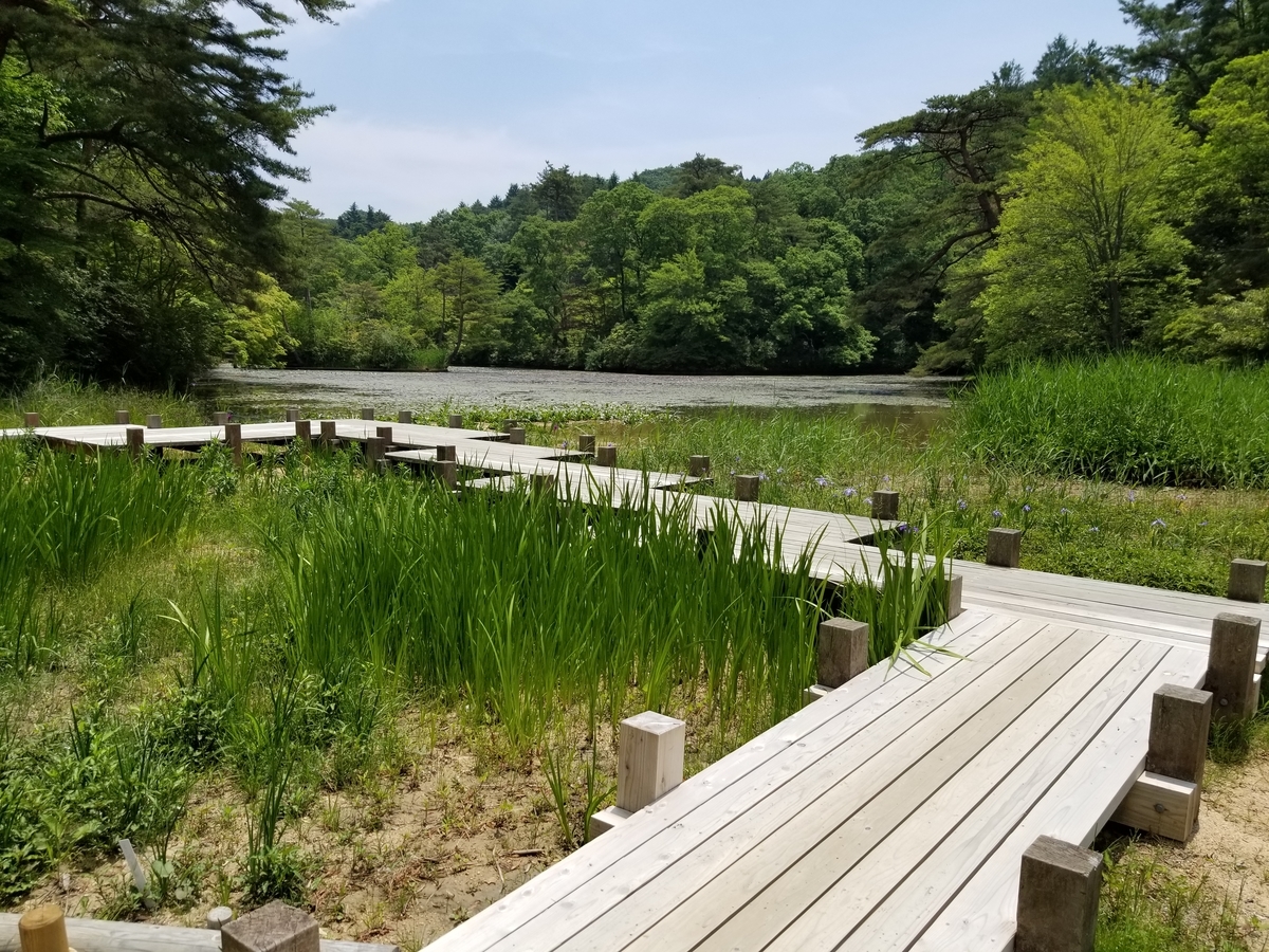 f:id:siran81:20190601185154j:plain