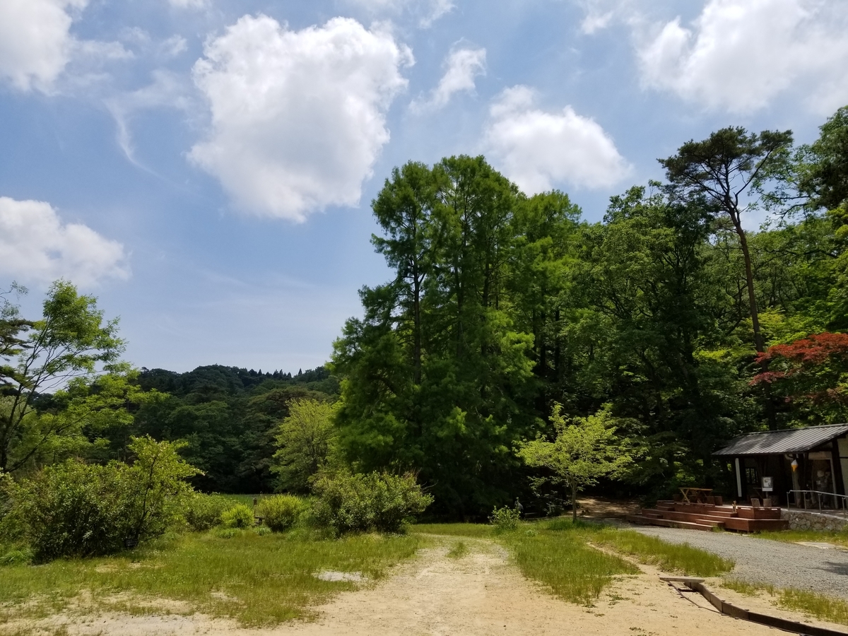 f:id:siran81:20190602075445j:plain