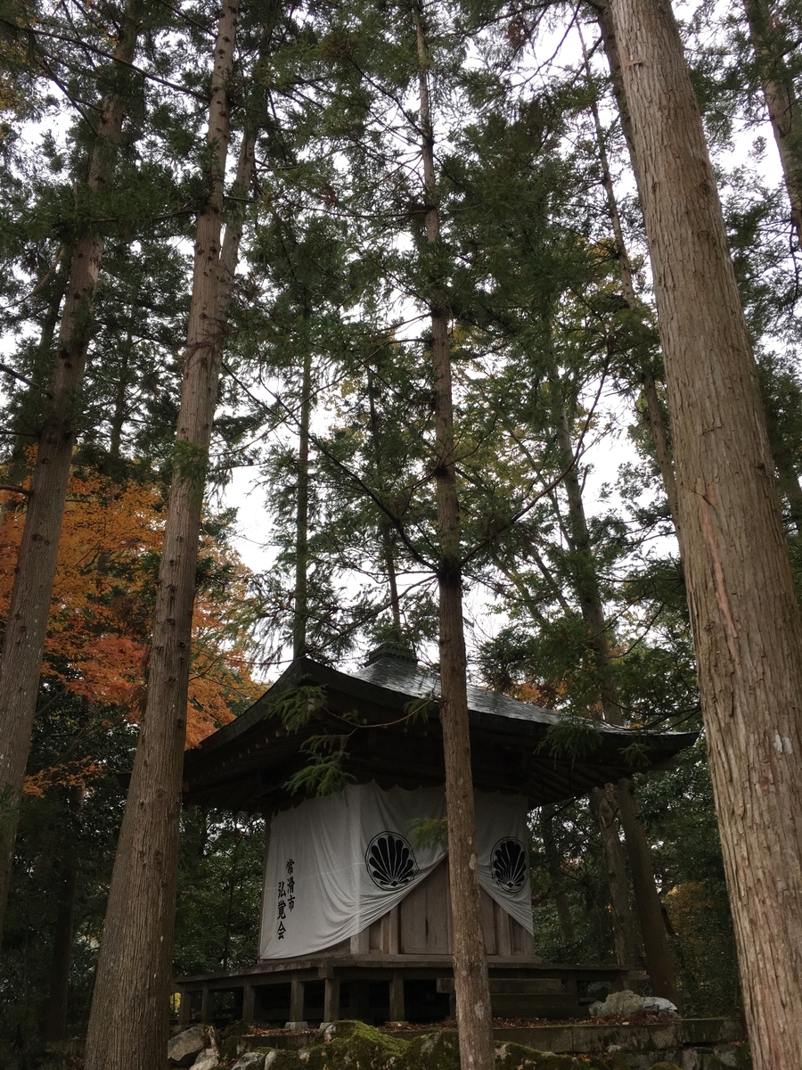 f:id:siratamacyan:20200120225720j:plain