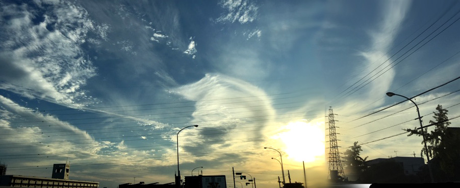 f:id:siratamacyan:20200529134816j:plain