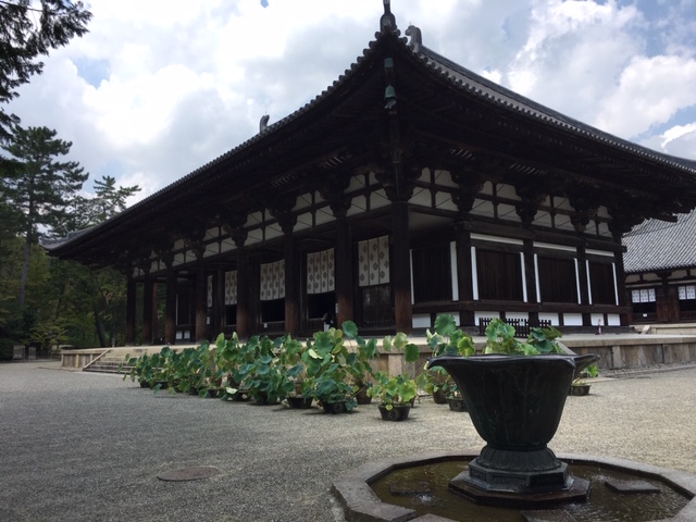 f:id:siratamacyan:20200903125124j:plain