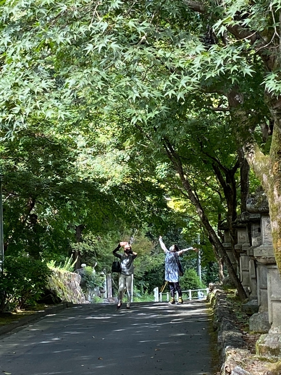 f:id:siratamacyan:20200907011851j:plain