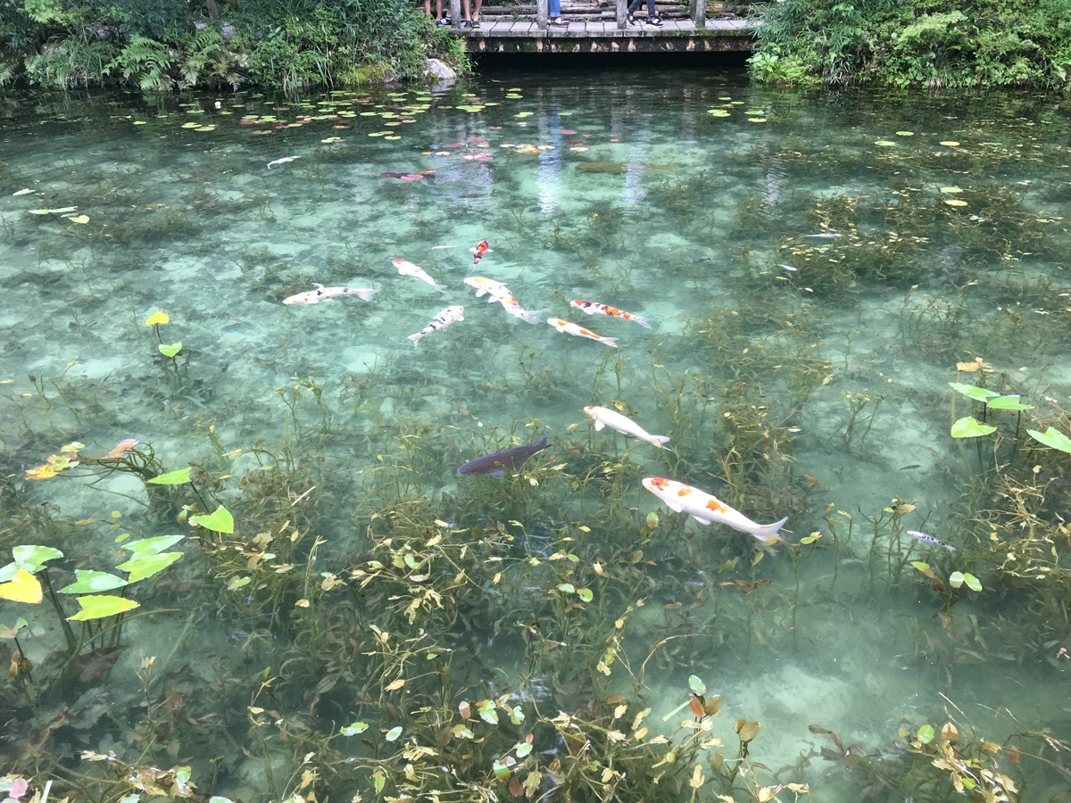 f:id:siratamacyan:20200907012009j:plain