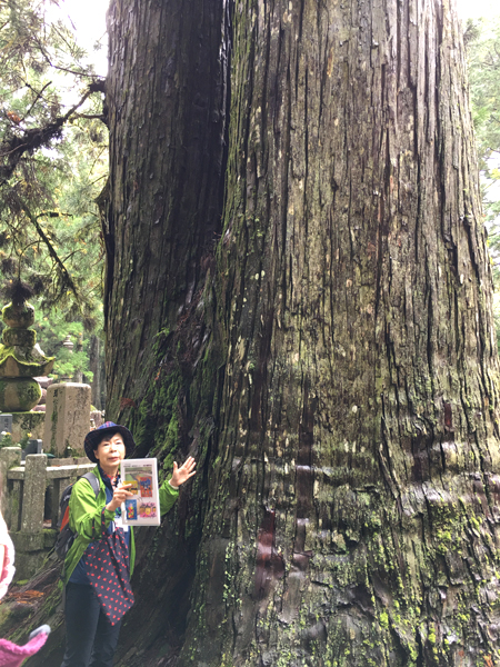 f:id:siratamacyan:20201013031334j:plain