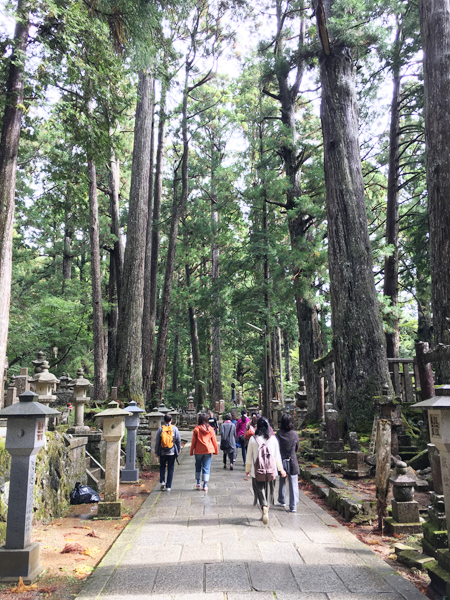 f:id:siratamacyan:20201013031340j:plain