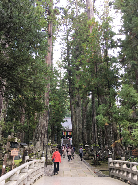 f:id:siratamacyan:20201013031352j:plain