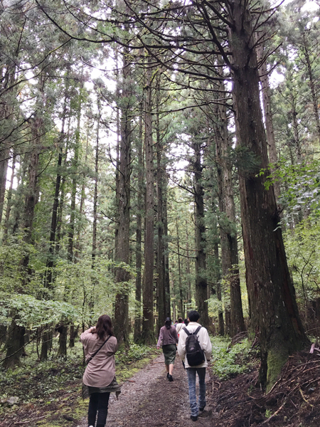 f:id:siratamacyan:20201013031355j:plain