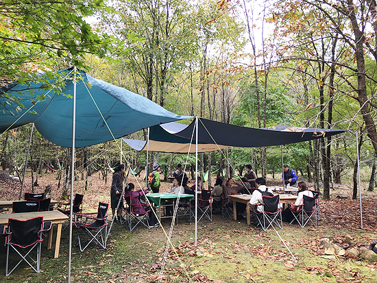 f:id:siratamacyan:20201013031402j:plain