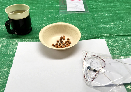 f:id:siratamacyan:20201013031405j:plain